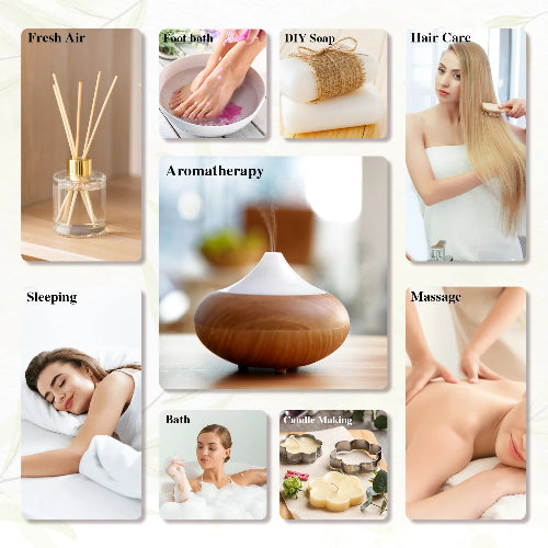 Eleve Wellness MAYJAM Essential Oil Collection